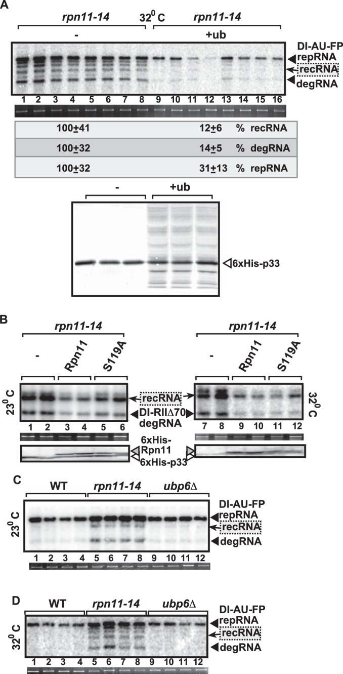 FIG 6