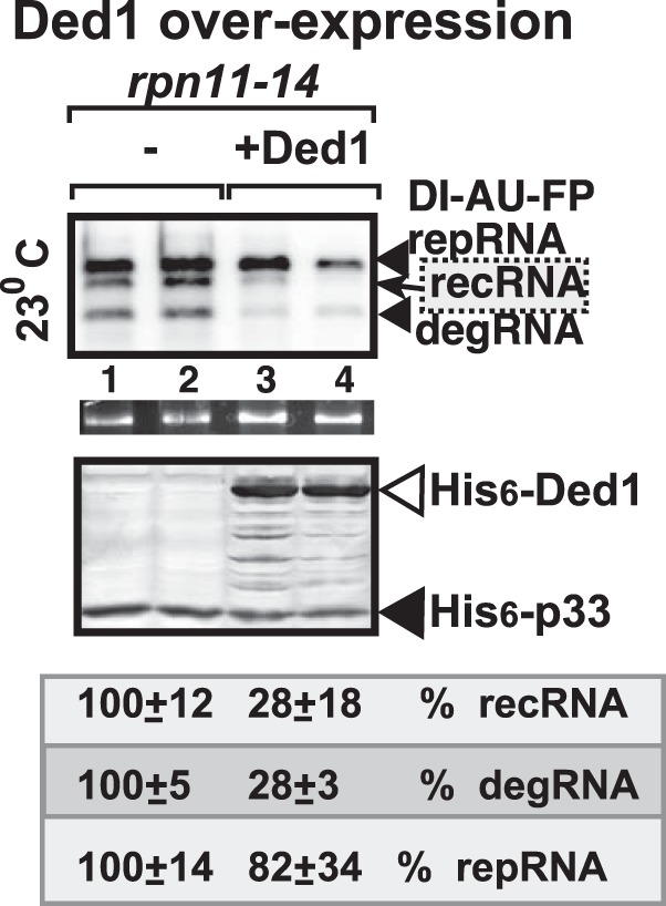 FIG 8