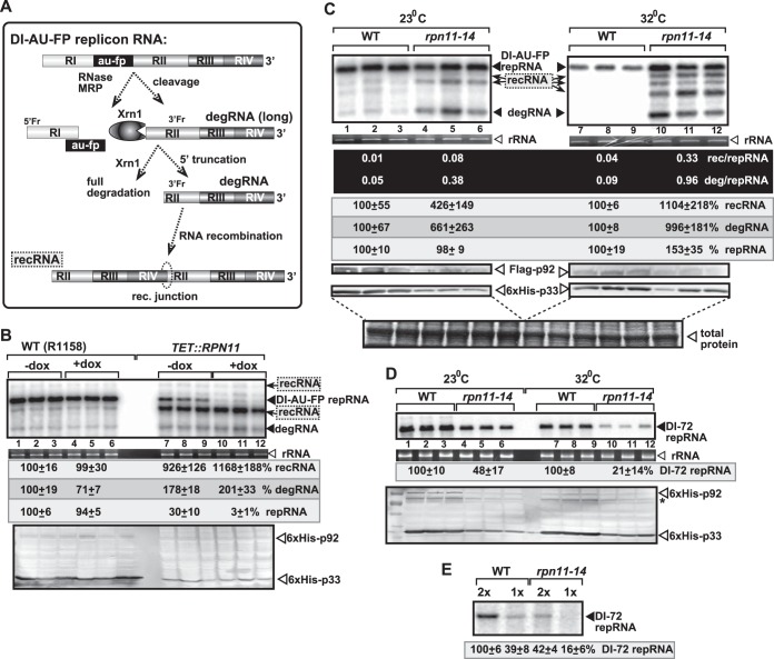 FIG 1