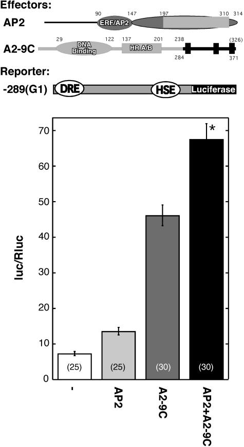 Figure 7.