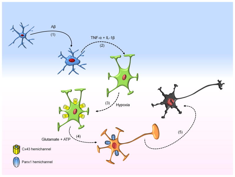 Figure 10