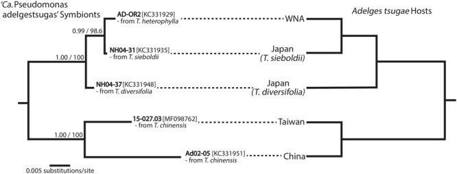 FIGURE 1