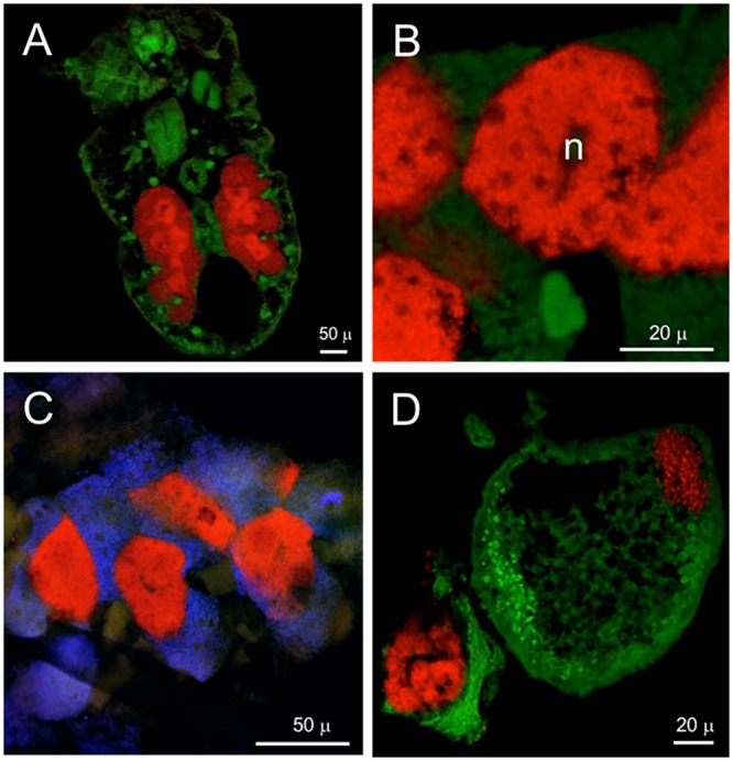 FIGURE 4