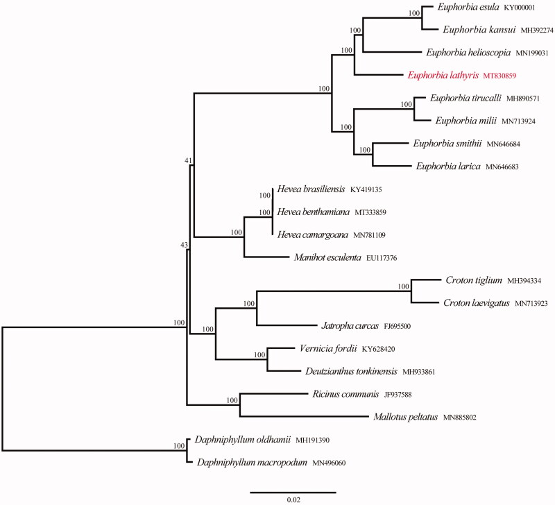 Figure 1.