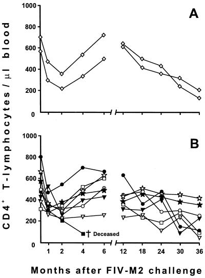 FIG. 6