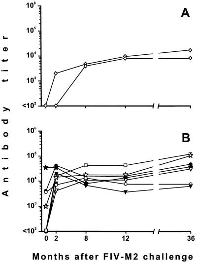 FIG. 5