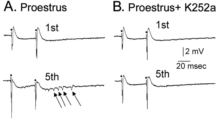 Figure 10.