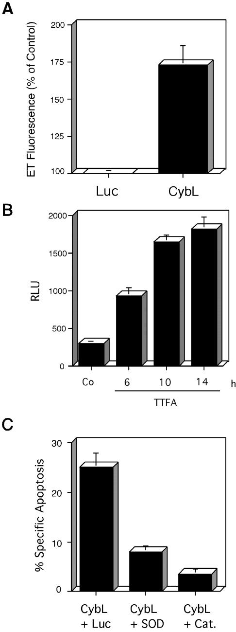 Figure 5.