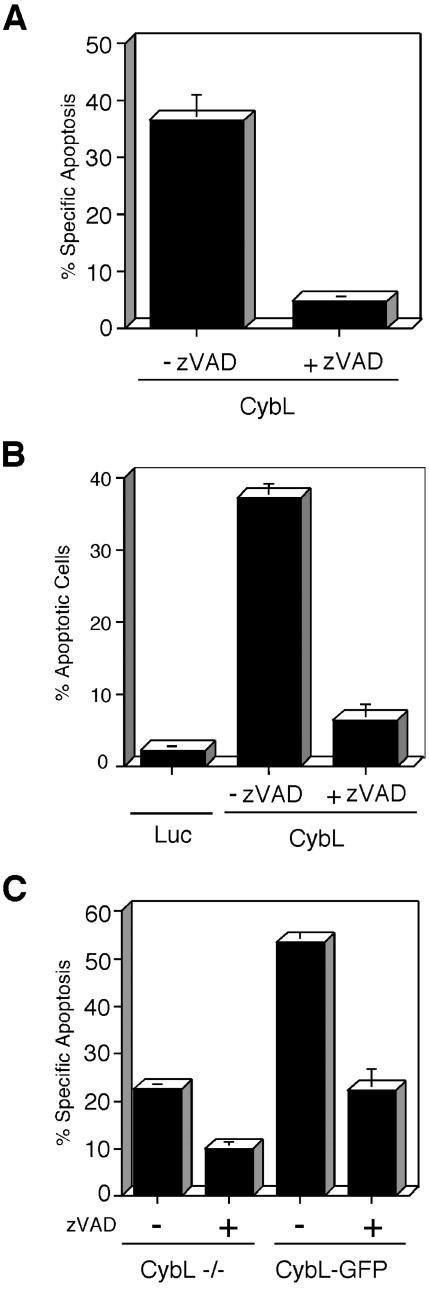 Figure 9.