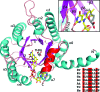 <b>FIG. 2.</b>