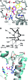 <b>FIG. 3.</b>