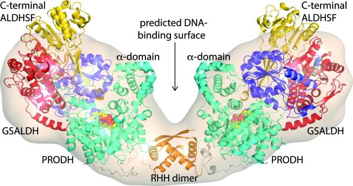 FIG. 13.