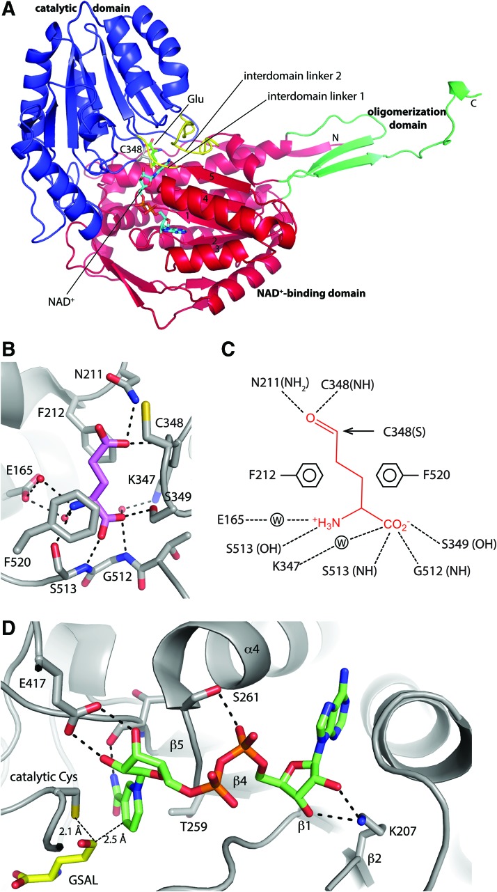 FIG. 6.