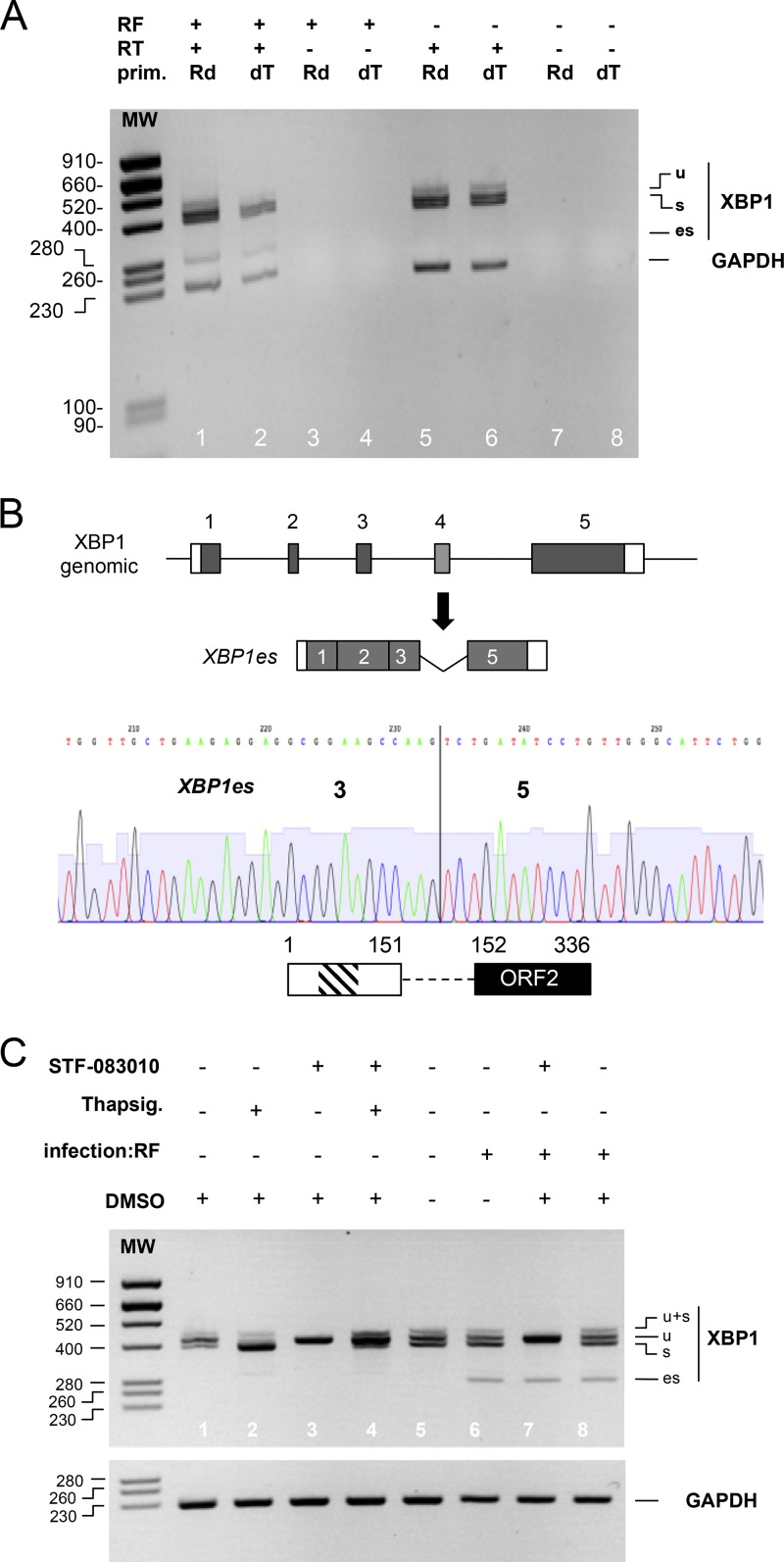 FIG 2