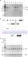 FIG 2