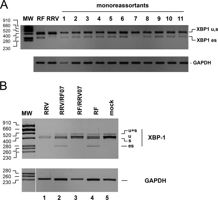 FIG 4