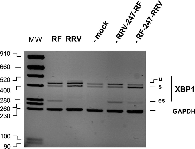 FIG 6