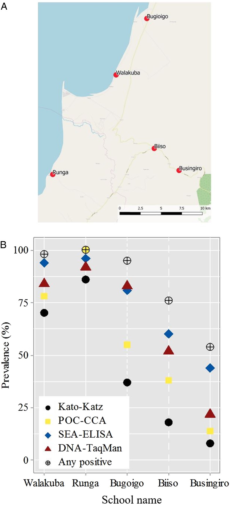 Fig. 1.