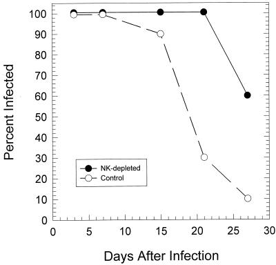 FIG. 7