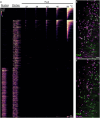 Extended Data Fig. 1