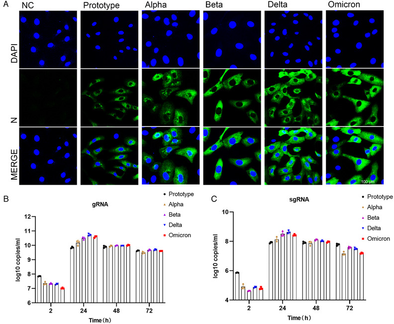 FIGURE 4