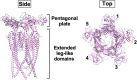 FIG 6