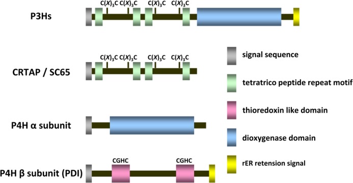 FIGURE 1.