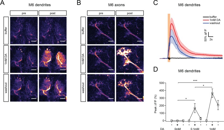 Figure 2—figure supplement 3.