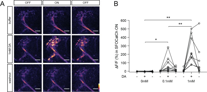 Figure 2—figure supplement 2.