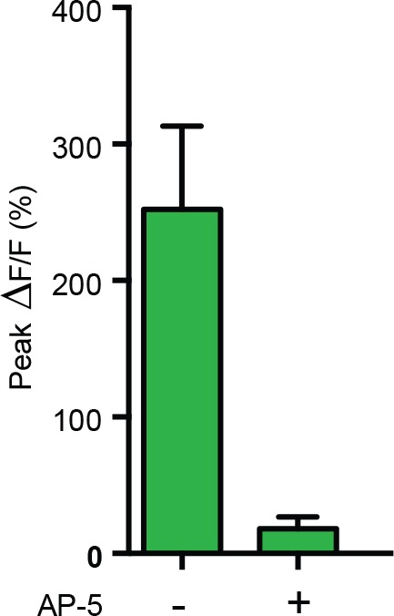 Figure 4—figure supplement 2.