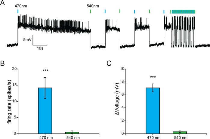 Figure 2—figure supplement 1.