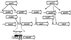FIG 11