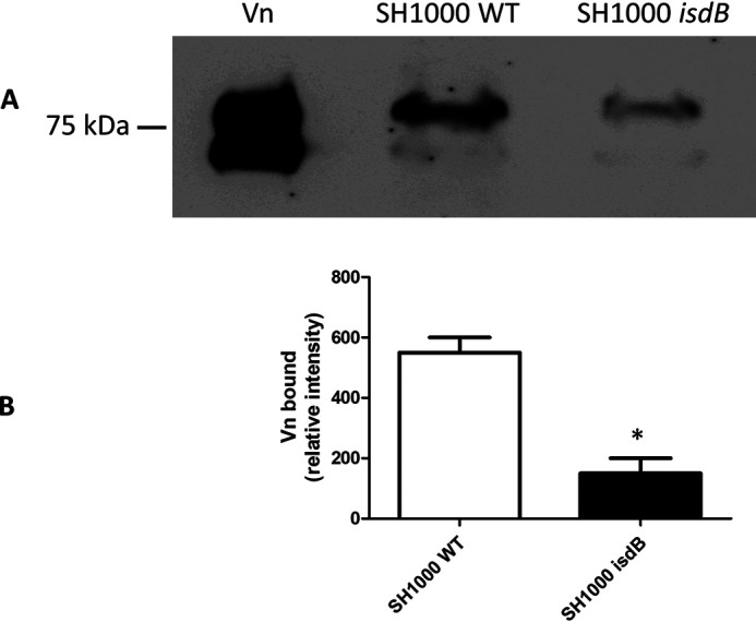 Figure 6.