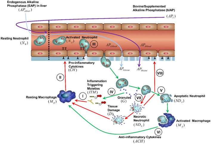 Figure 7