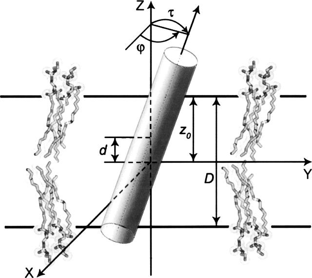 Figure 1.