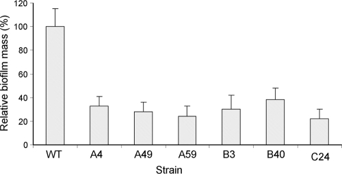 FIG. 4.