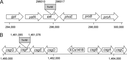 FIG. 5.