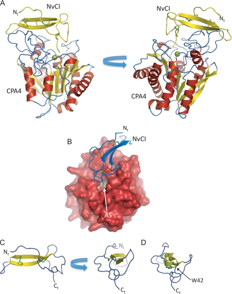 FIGURE 1.