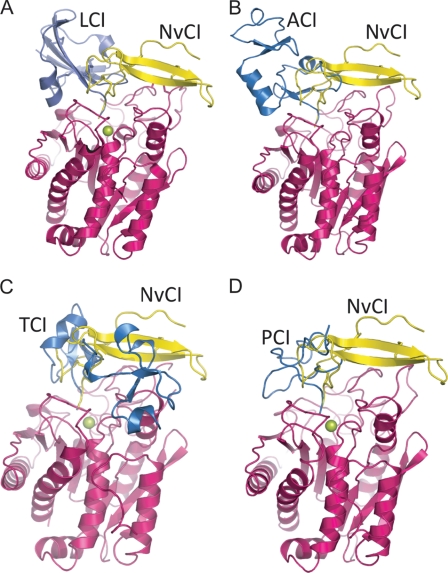 FIGURE 4.