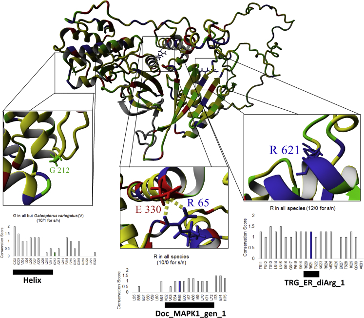 Figure 2