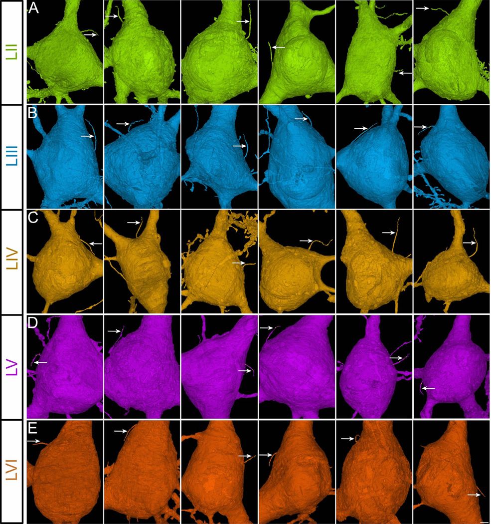 Figure 3.