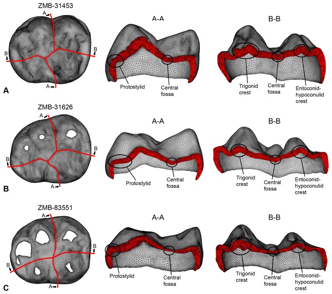 Figure 6