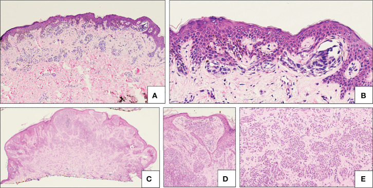 Figure 5