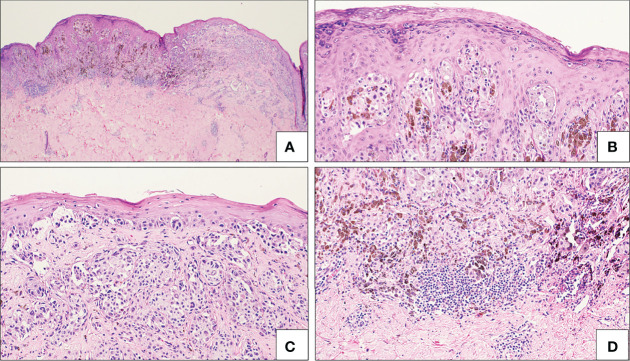 Figure 6