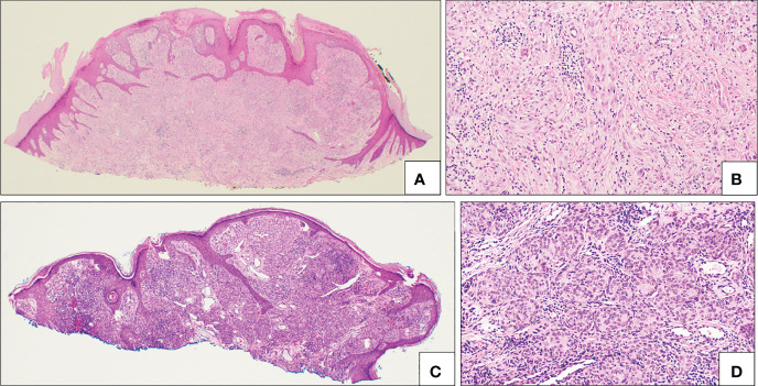 Figure 7