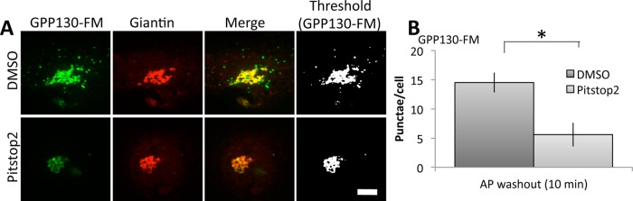 FIGURE 4: