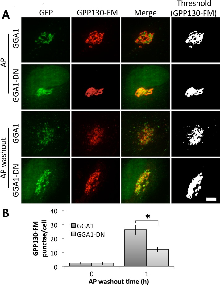 FIGURE 3: