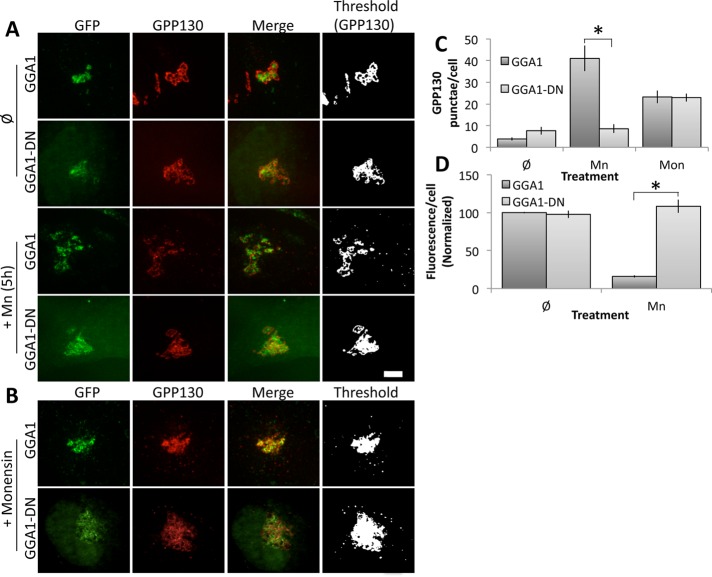 FIGURE 1: