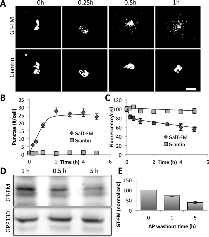 FIGURE 9: