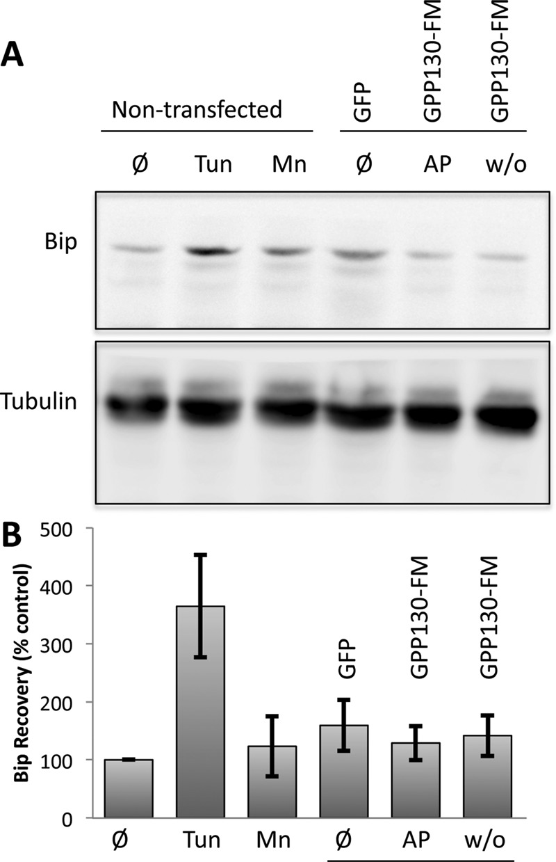 FIGURE 10: